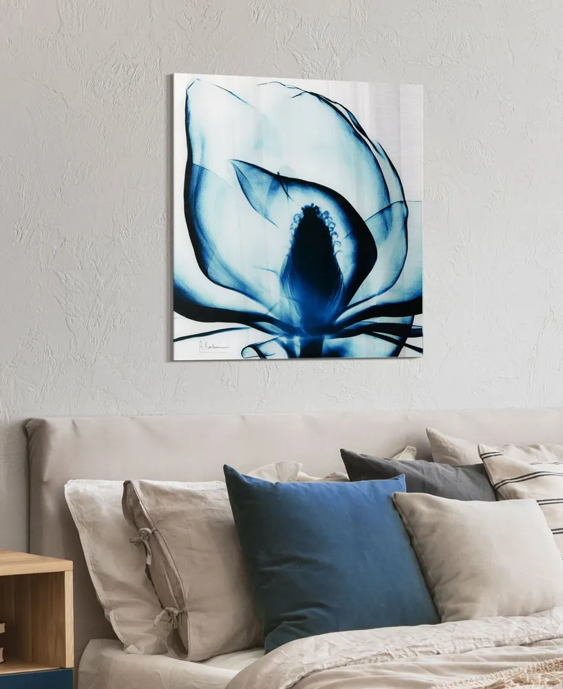 Empire Art Direct Blue Magnolia x-ray Frameless Free Floating Tempered Glass Panel Graphic Wall Art, 24" x 24" x 0.2"