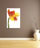 Empire Art Direct Orange Yellow Parrot Tulip on White Frameless Free Floating Tempered Glass Panel Graphic Wall Art, 48" x 32" x 0.2"