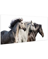Empire Art Direct Trilogy 1 Frameless Free Floating Tempered Glass Panel Graphic Wall Art, 24" x 63" x 0.2"