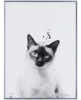 Empire Art Direct Siamese Pet Paintings on Reverse Printed Glass Encased with a Gunmetal Anodized Frame Wall Art, 24" x 18" x 1"