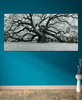 Empire Art Direct Growth Frameless Free Floating Tempered Art Glass Wall Art by Ead Art Coop, 36" x 72" x 0.2"