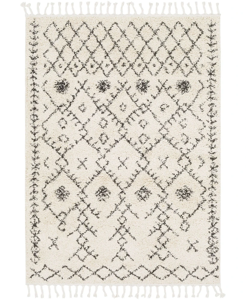 Livabliss Berber Shag Bbe-2302 Charcoal 5'3" x 7'3" Area Rug