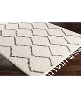 Surya Berber Shag Bbe Charcoal Area Rug