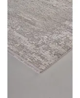 Feizy Cadiz R3888 Silver 4'10" x 7'10" Area Rug