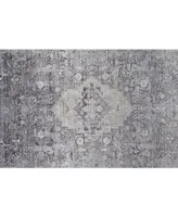 Feizy Sarrant R3966 Gray 4' x 5'3" Area Rug