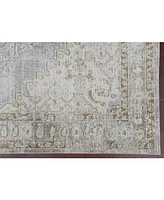 Amer Rugs Century Cen-11 Gray/Ivory 5'3" x 7'3" Area Rug