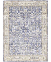 Amer Rugs Century Cen-6 Lavender 3'11" x 5'11" Area Rug