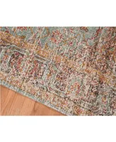 Amer Rugs Eternal Ete-30 Mint 5'7" x 7'6" Area Rug