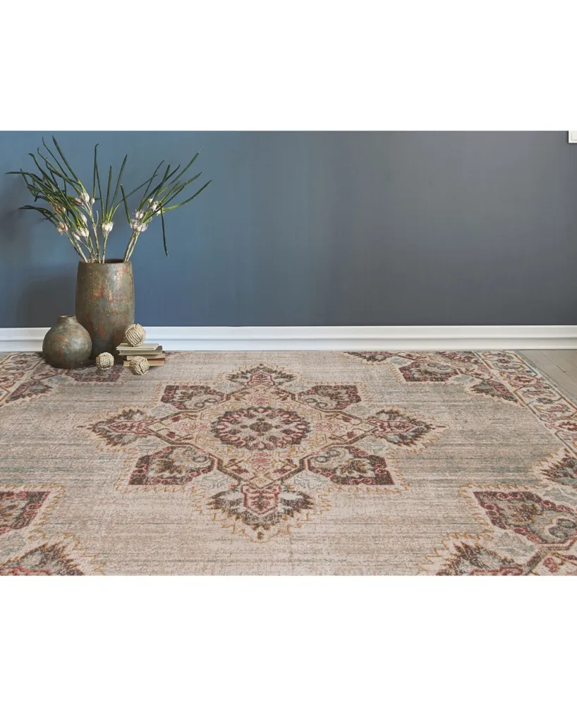 Amer Rugs Eternal Ete-20 Beige/Sand 3'11" x 5'11" Area Rug