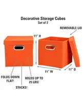 Household Essential Storage Bins with Lids