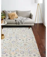 Bb Rugs Corse Cor-13 Mist 3'6" x 5'6" Area Rug