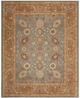 Safavieh Antiquity At61 Area Rug