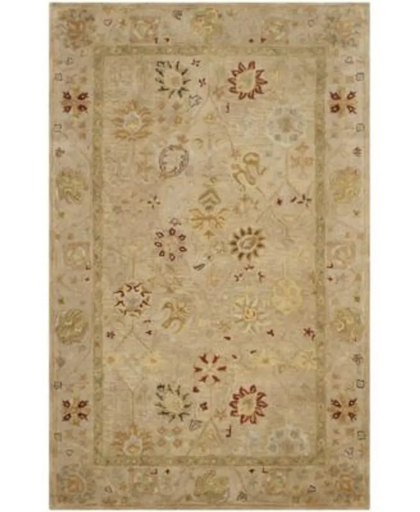 Safavieh Antiquity At859 Area Rug