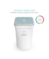 Pure Enrichment PureSpa Go Home Auto Aroma Diffuser