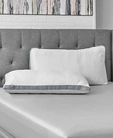 Sealy Frost Pillows