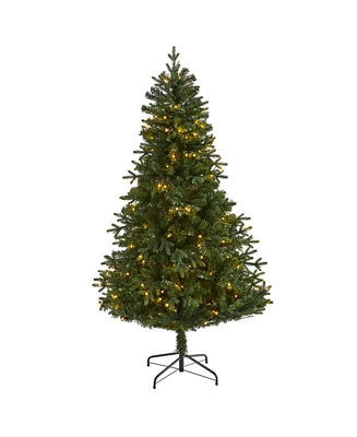 Nearly Natural Vermont Fir Artificial Christmas Tree with 250 Clear Led Lights