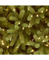 National Tree 6.5' Feel Real Jersey Fraser Fir Slim Tree with 700 Clear Lights
