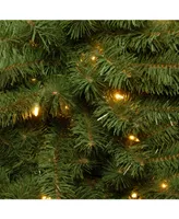 National Tree 6' Kincaid Spruce Tree with 400 Clear Lights