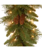 National Tree Company 9' x 10" Pine Cone Garland with 50 Clear Lights-ul