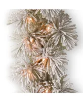 National Tree Company 9' x 12" Snowy Bristle Pine Garland with 70 Clear Lights