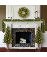 National Tree Company 2x4' Entrance Trees in Black/Gold Pot w Clear Lts, 24" Wreath w/Warm White Lts, 9'x8" Garland w/Clear Lts