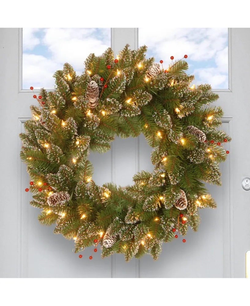 National Tree 24" Glittery Mountain Spruce Wreath with White Edged Cones, Red Berries and 50 Warm White Battery Operated Led Lights with Timer