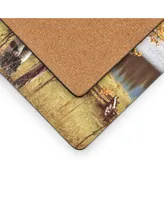 Pimpernel Birch Beauty Placemats, Set of 4