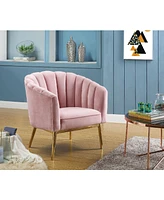 Acme Furniture Colla Accent Chair - Blush Pink Velvet Texture and Gold