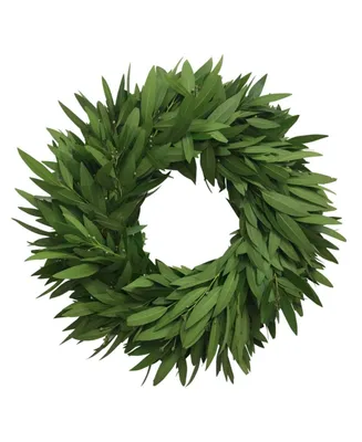 GreenishBlu Fresh Bay Leaf Wreath, 20"