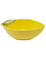 Certified 3-d Lemon 5 Piece Melamine Serving Bowl Set