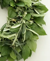 Magnolia Supply Co Fresh Olive and Lemon Leaf Wreath, 20"