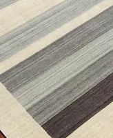 Amer Rugs Blend Bailey 5' x 8' Area Rug