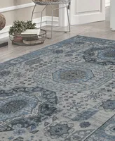 Amer Rugs Divine Dein 2' x 3' Area Rug