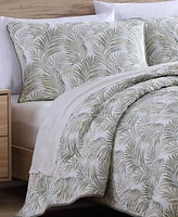 Tommy Bahama Home Maui Palm Cotton Reversible 3 Piece Quilt Set