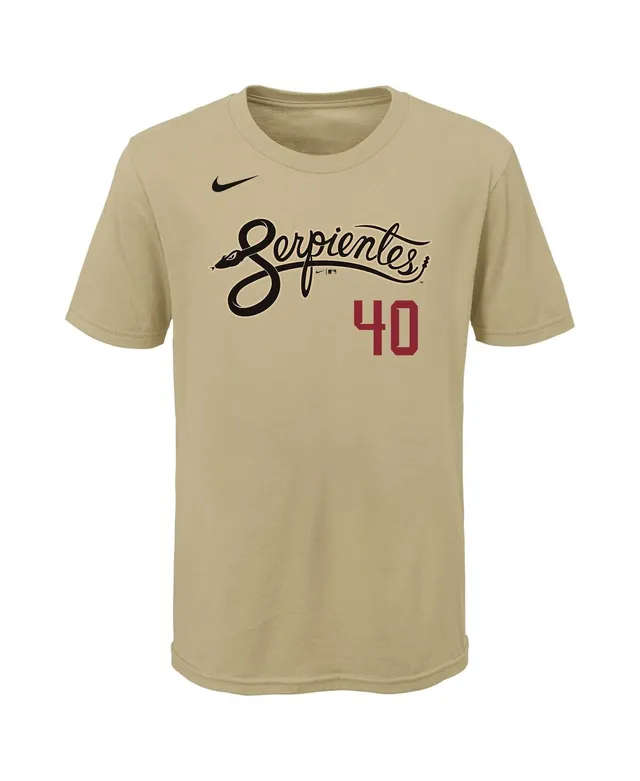 Youth Nike Madison Bumgarner Sand Arizona Diamondbacks City Connect Name &  Number T-Shirt