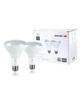 Smart BR30 Dimmable Light Bulb - Dimmable Color Changing Led, Set of 2