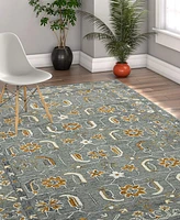 Amer Rugs Romania Pecos 5' x 8' Area Rug