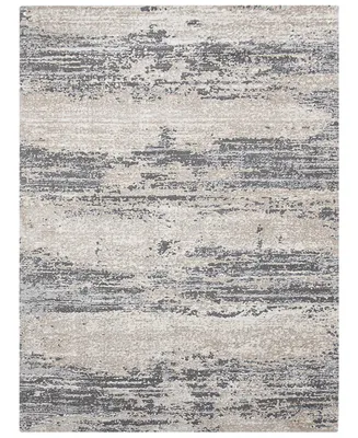 Amer Rugs Savannah Erica 5'3" x 7'9" Area Rug