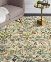 Lr Home Opulent Oriental Garden 5' x 8' Area Rug