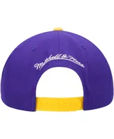 Men's Mitchell & Ness Purple Los Angeles Lakers Area Code Snapback Hat