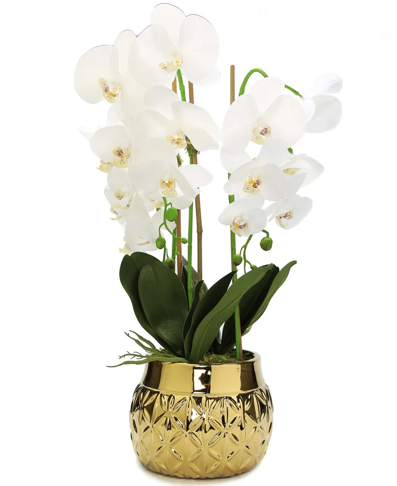 Orchid Plant in Round Hexagon Design Shiny Vase - Gold