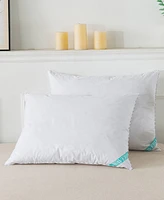 St. James Home Feather 2-Piece Pillow Set, King