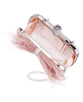 Women's Feather Embellished Minaudiere Clutch