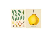 John Derian Sticker Book by John Derian