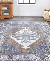 Feizy Percy R39AI 4' x 6' Area Rug