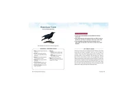 The Backyard Bird Sanctuary- A Beginner's Guide to Creating A Wild Bird Habitat At Home by Alan Baczkiewicz