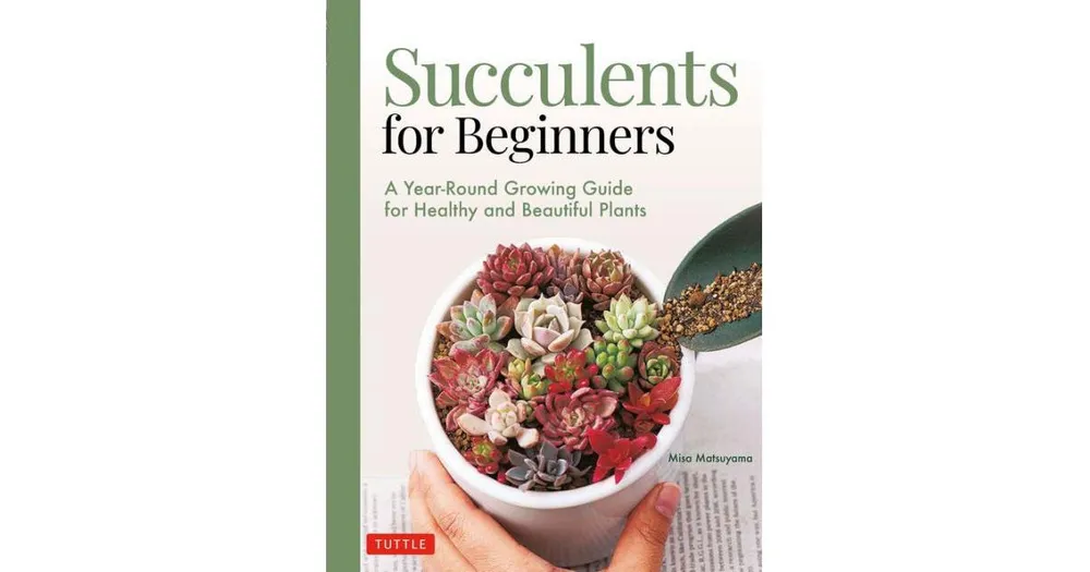 Succulents for Beginners- A Year