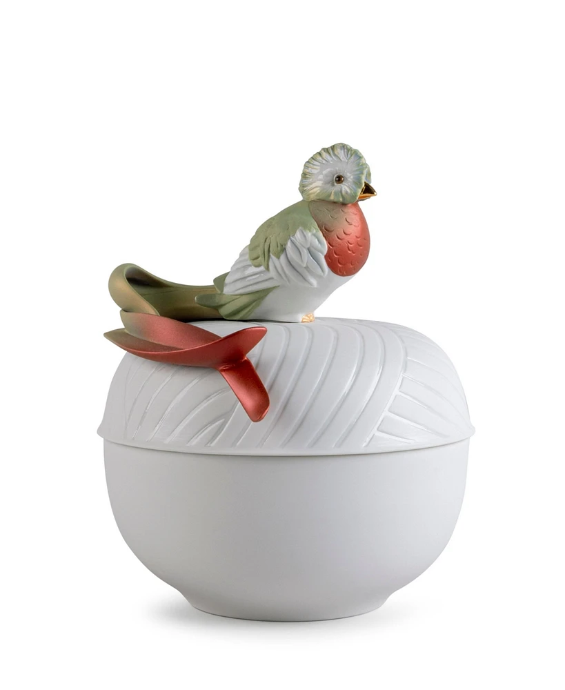 Quetzal Box