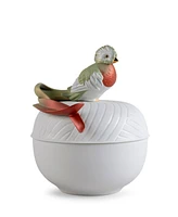 Quetzal Box