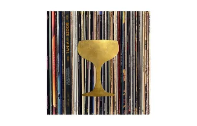 Booze & Vinyl: A Spirited Guide to Great Music and Mixed Drinks by AndrA Darlington